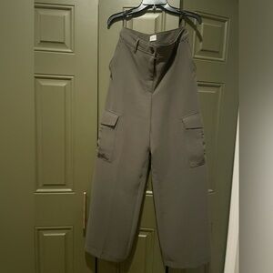 Aritzia Bridger Cargo Pant